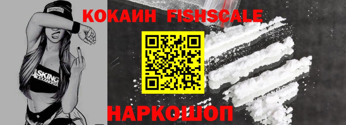 COCAIN Fish Scale  Вход с VPN  Сарапул 