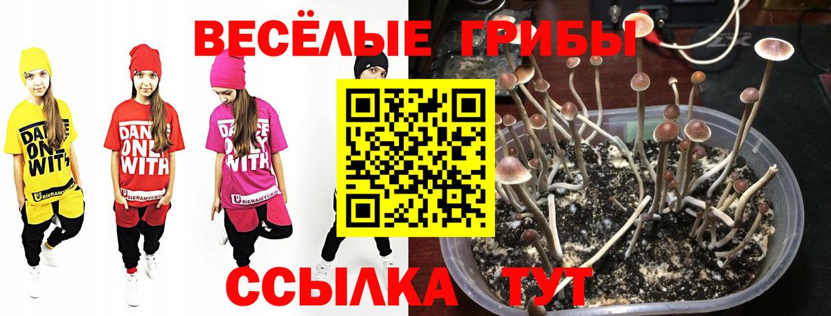 Сарапул  Галлюциногенные грибы мухоморы  Вход с VPN 