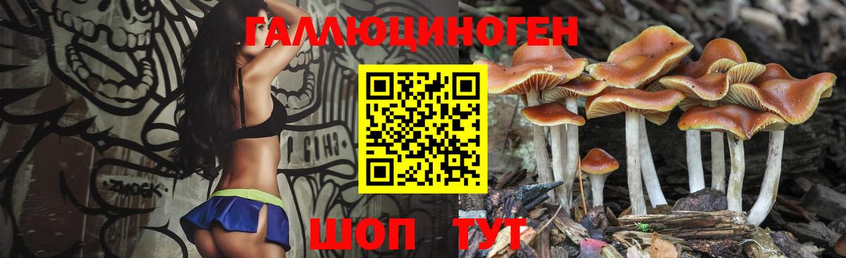 Галлюциногенные грибы GOLDEN TEACHER Сарапул
